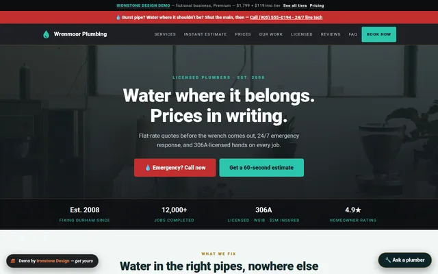 Plumbing & Drains demo website preview